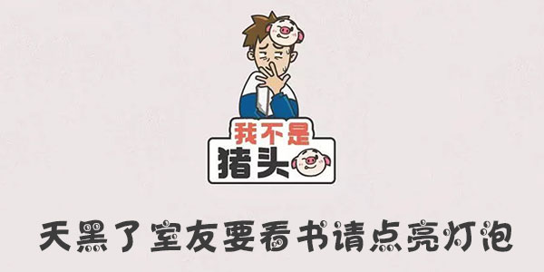 I'm not a pig. It's dark. Roommate wants to read a book. Please light up the light bulb. Introduction
