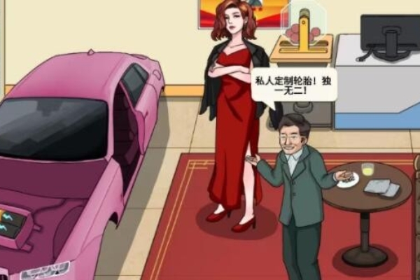 Attacking Chinese character sister-in-law's car purchase guide