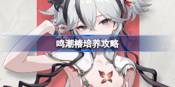استراتيجية زراعة Mingchaochun