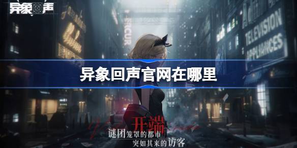 Vision Echoの公式Webサイトはどこにありますか