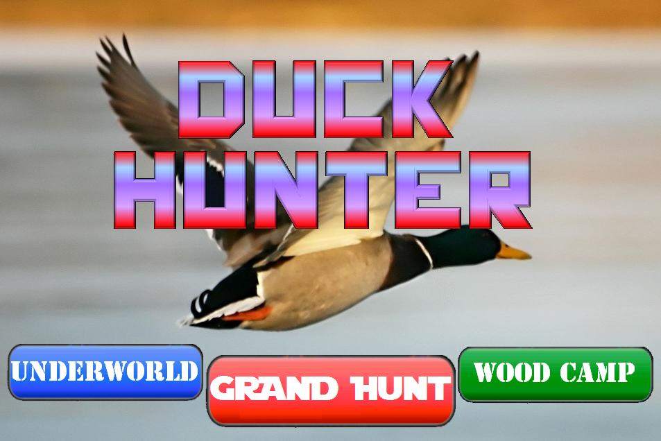Duck Hunter Pro
