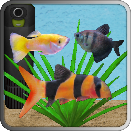Aquarium Fish